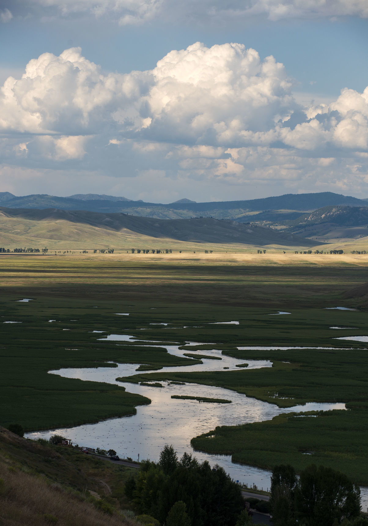 Flat Creek on the National Elk Refuge